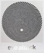 Eye attack: op art and kinetic art 1950-1970