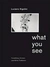 What you see - Luciano Rigolini [6 September to 16 November 2008 "Luciano Rigolini: What you see", exhibition at the Fotostiftung Schweiz, Winterthur]