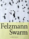 Lukas Felzmann - swarm