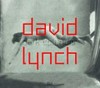 David Lynch - Dark splendor: Raum Bilder Klang : [diese Publikation erscheint anlässlich der Ausstellung "David Lynch - Dark splendor: Raum Bilder Klang" im Max Ernst Museum Brühl des LVR, 22. November 2009 bis 21. März 2010]