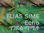 elias-sime-echo-gebundene-ausgabe-meskerem-assegued.jpeg