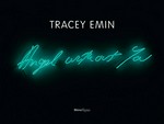 Tracey Emin - Angel without you [this publication accompanies the exhibition: "Tracey Emin: Angel without you - Knight exhibition series", Museum of Contemporary Art, North Miami, December 4, 2013, to March 9, 2014]