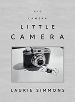 Big camera, little camera