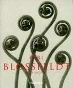 Karl Blossfeldt: photographs 1865-1932