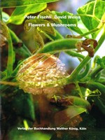 Peter Fischli, David Weiss - Flowers and mushrooms