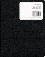 Car gwyllt [diese Publikation erscheint anlässlich der Ausstellung "Daniel Roth: Car gwyllt" im Kunstmuseum Bonn, 27. November 2008 - 1. März 2009]