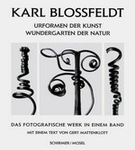 Karl Blossfeldt 1865-1932, das fotografische Werk