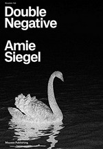 Double negative - Amie Siegel
