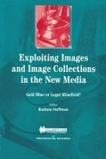 Exploiting images and image collections in the new media: gold mine or legal minefield