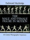 The male and female figure in motion: 60 classic photographic sequences