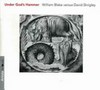 Under God's hammer: William Blake versus David Shrigley : [16 September 2006 - 1 January 2007, Art Gallery of Western Australia]