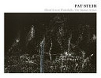 Pat Steir - Silent secret waterfalls: the Barnes series