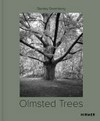 Stanley Greenberg - Olmsted trees
