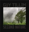 Guy Tillim - Second nature