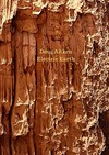 Doug Aitken - Electric earth
