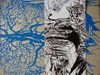 Schwarze Eiche [die Publikation "Schwarze Eiche" erscheint anlässlich der Ausstellung "Nina Weber. Land aus Glas", 18. Mai bis 20. Juli 2014, im Museum Kloster Sankt Georgen, Stein am Rhein]