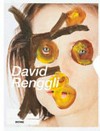 David Renggli [this catalogue is published on the occasion of the exhibition "Scaramouche", August 17 - October 27, 2013, at Kunst Halle Sankt Gallen]