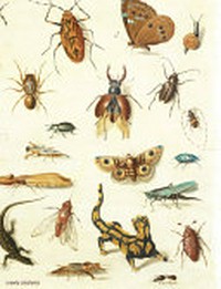 Crawly creatures: little animals in art and science